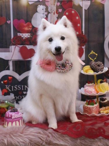 20250214ゆきくん 